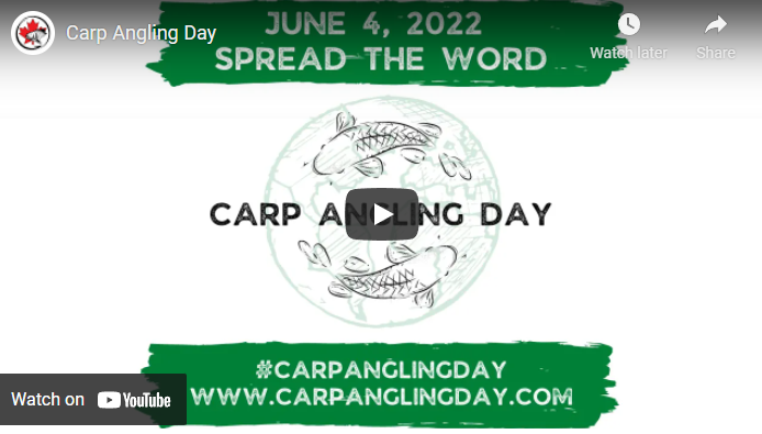 #carpanglingday